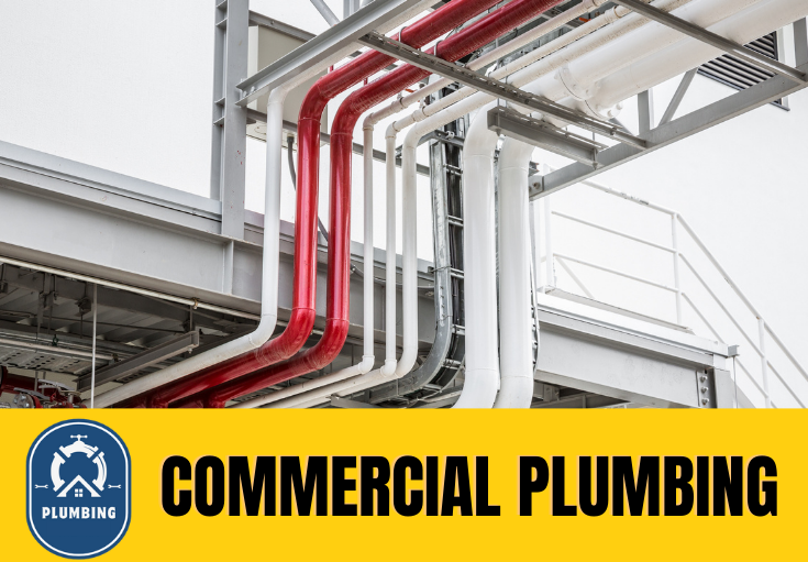 commercial plumbing Birkenhead
