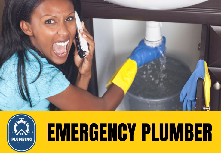 emergency plumber Birkenhead
